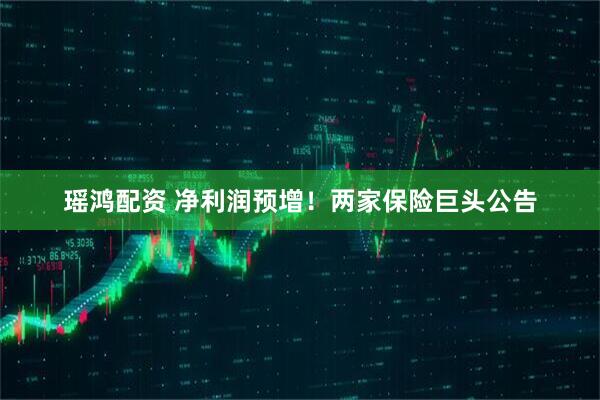 瑶鸿配资 净利润预增！两家保险巨头公告