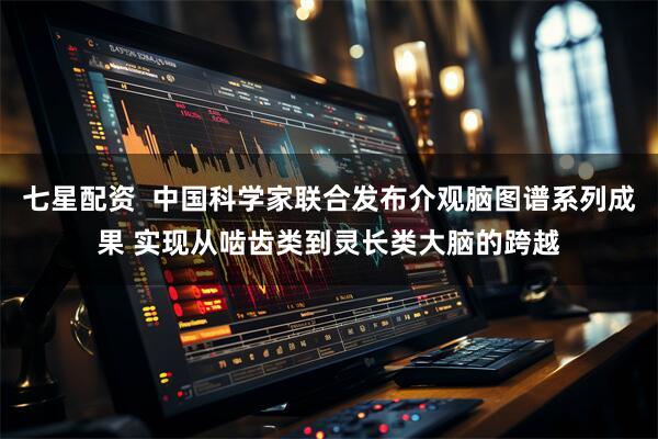 七星配资  中国科学家联合发布介观脑图谱系列成果 实现从啮齿类到灵长类大脑的跨越
