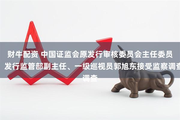 财牛配资 中国证监会原发行审核委员会主任委员、发行监管部副主任、一级巡视员郭旭东接受监察调查
